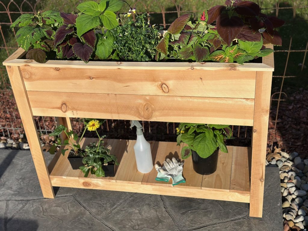 Tall Cedar Planter with Shelf